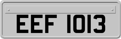 EEF1013
