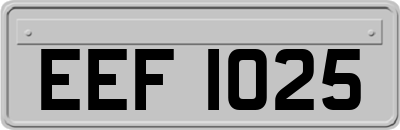 EEF1025