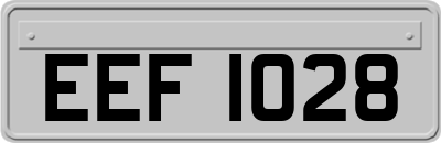 EEF1028