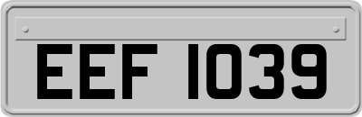 EEF1039