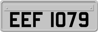 EEF1079