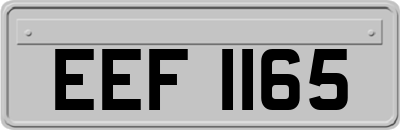 EEF1165