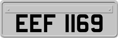 EEF1169