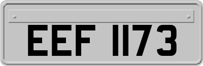EEF1173