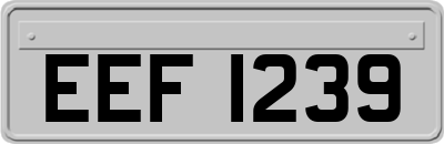 EEF1239