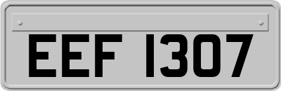 EEF1307
