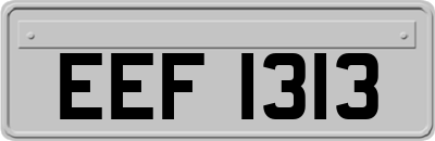 EEF1313
