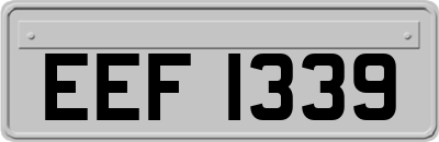 EEF1339
