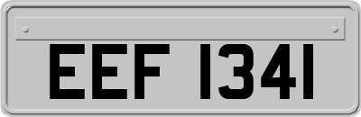 EEF1341