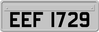 EEF1729