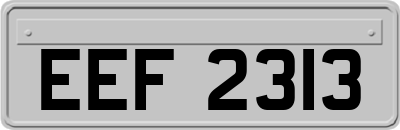 EEF2313