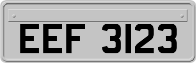 EEF3123