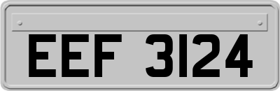 EEF3124