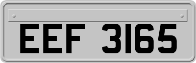 EEF3165