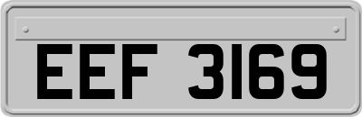 EEF3169