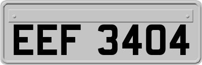 EEF3404