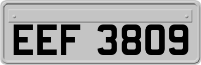 EEF3809