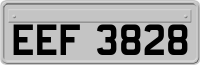 EEF3828
