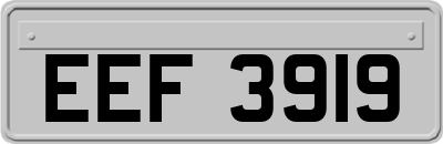 EEF3919