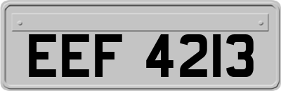 EEF4213