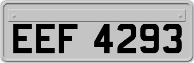 EEF4293