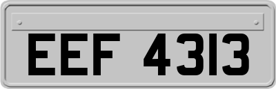 EEF4313