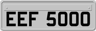EEF5000