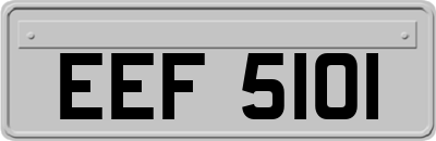 EEF5101