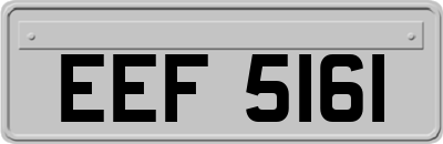 EEF5161