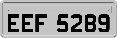 EEF5289