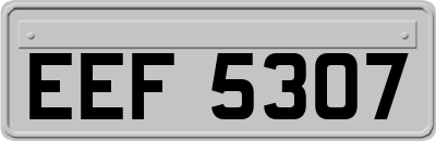 EEF5307