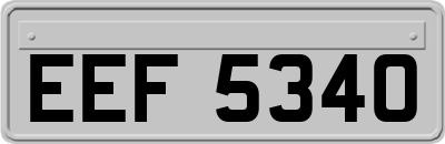 EEF5340