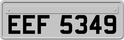 EEF5349