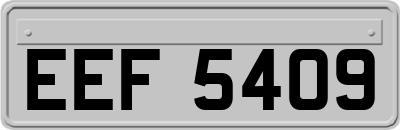 EEF5409