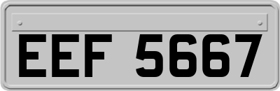 EEF5667