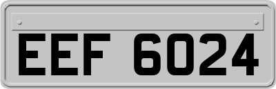 EEF6024