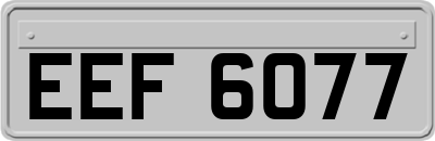 EEF6077