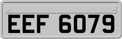 EEF6079