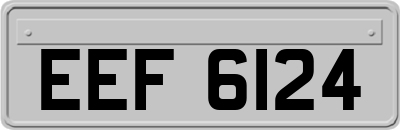 EEF6124