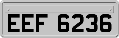 EEF6236