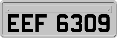EEF6309