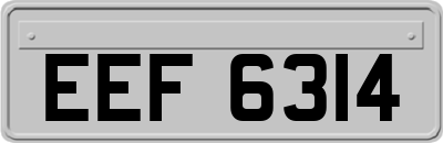 EEF6314