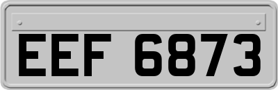 EEF6873