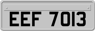 EEF7013