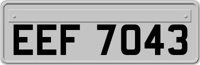EEF7043