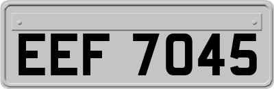 EEF7045