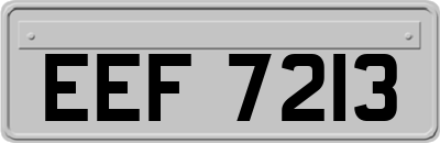 EEF7213