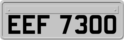 EEF7300