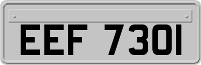 EEF7301