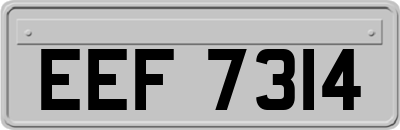 EEF7314